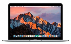 MacBook 8,1 A1534  (12 Retina, начало 2015 г.)