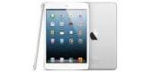 Apple iPad mini
